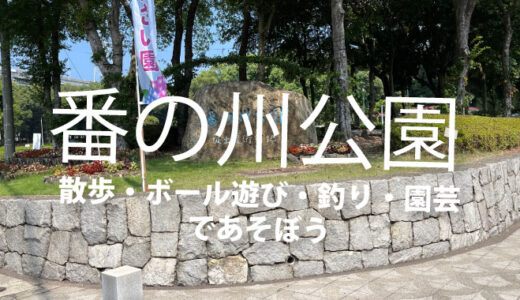 番の州公園 自然満喫スポット｜散歩・芝生・釣り・園芸が楽しめる坂出